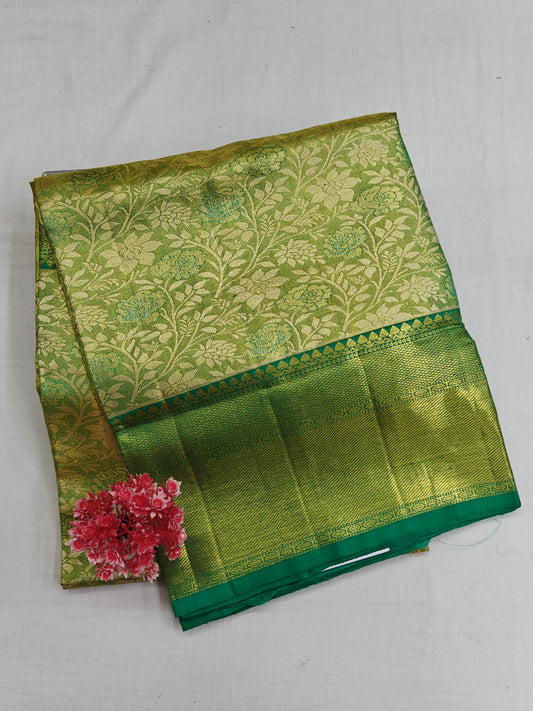 Lite Green Tissue Silk Saree with Dark Green Border